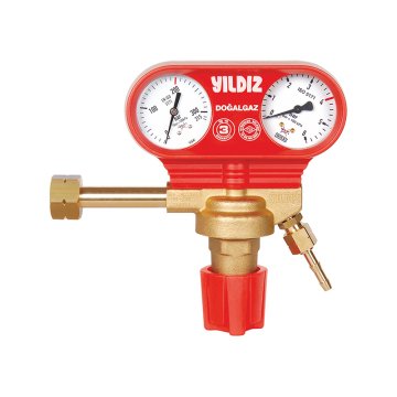 Yıldız 5381S Doğalgaz Basınç Düşürücü