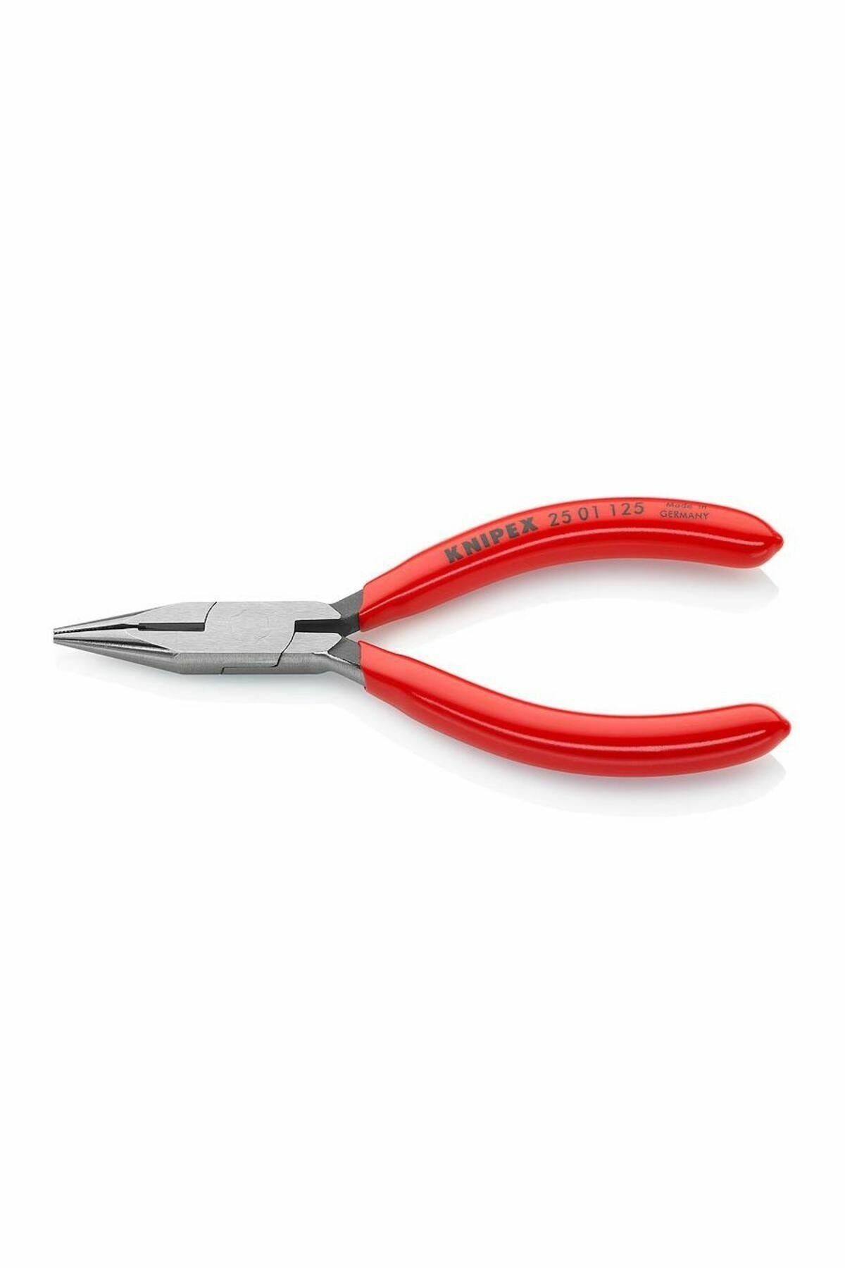 KNİPEX 25 01 125 KARGABURUN