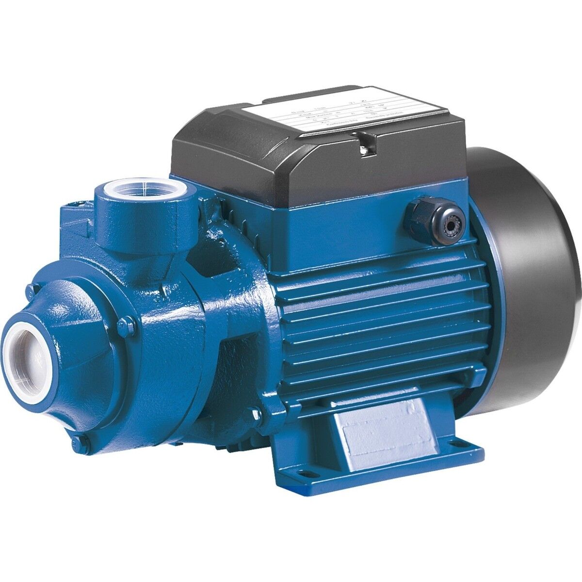 RAİNPUMP QB80 1 HP 1''SANTRIFUJ POMPA